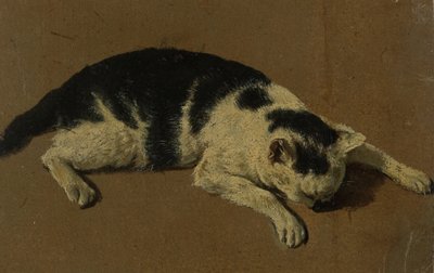 Cat lying down by Adriaen van de Velde